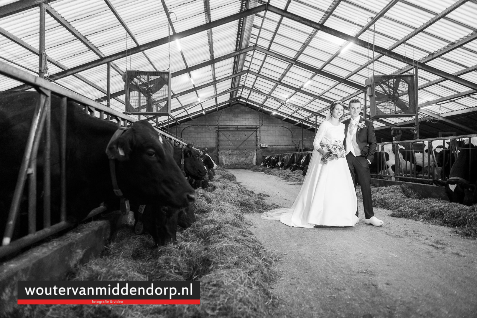 foto Wouter van Middendorp Uddel, Veluwe, Gelderland, trouwfotograaf (13)