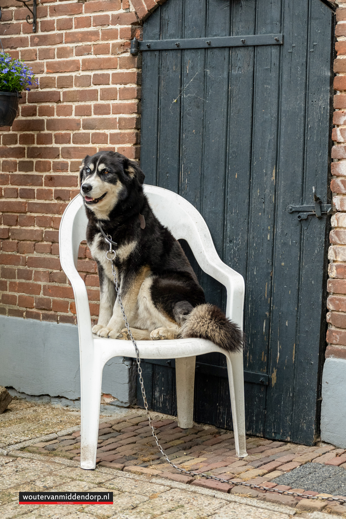 Wouter van Middendorp, fotograaf, Putten (2)