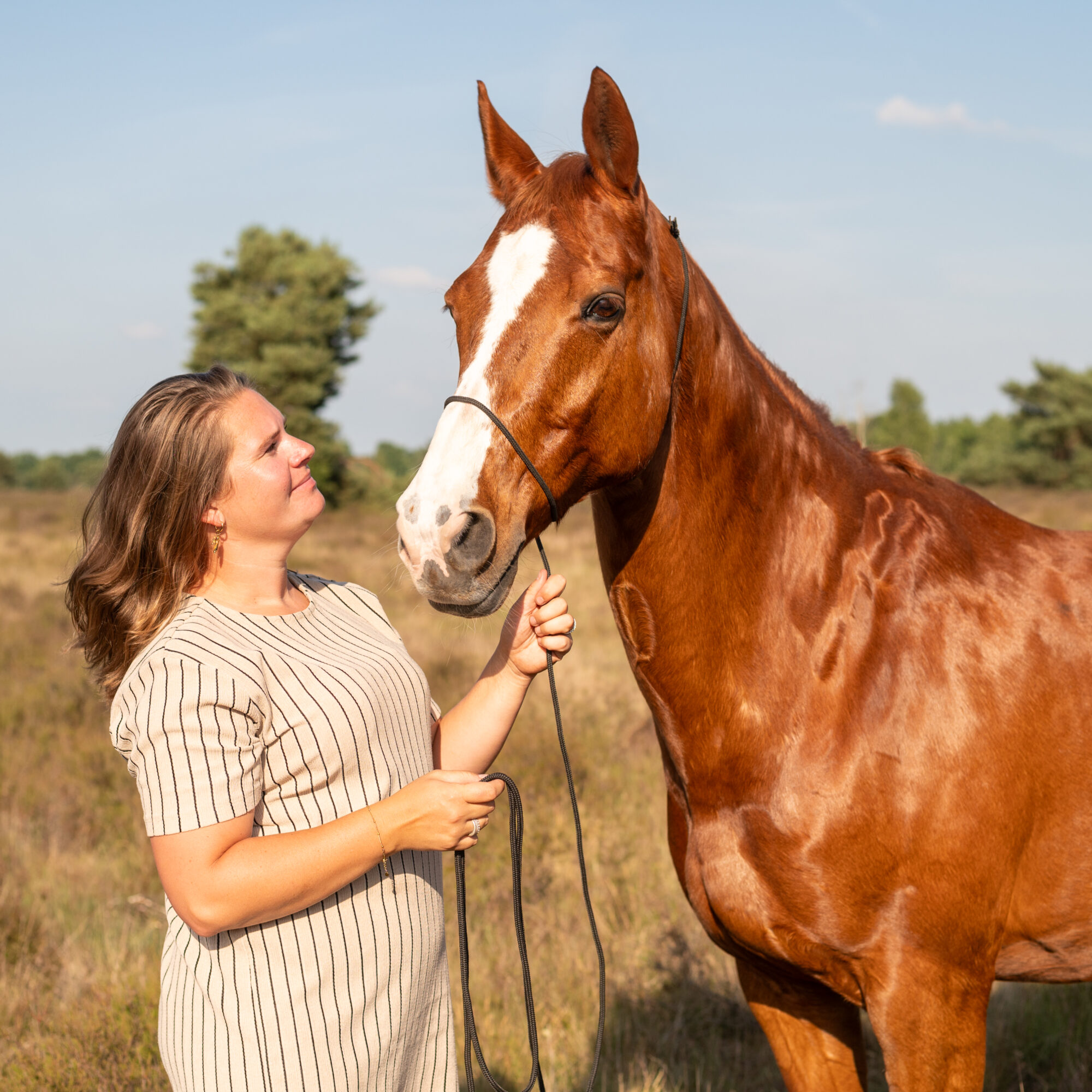 Wouter van Middendorp fotografie, horse, paard (1)
