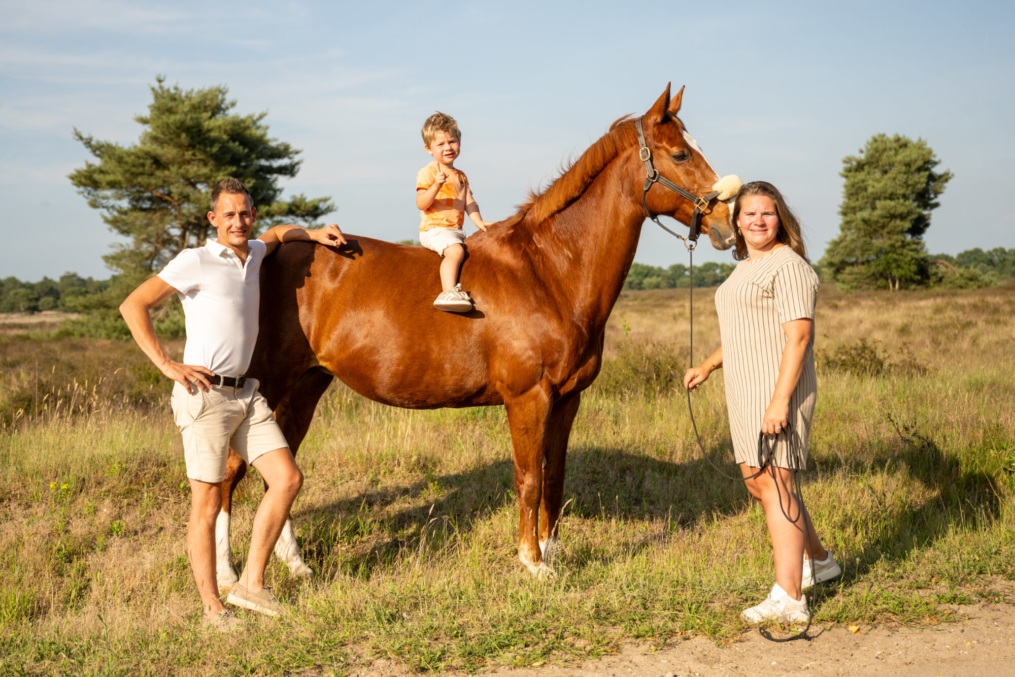 Wouter van Middendorp fotografie, horse, paard (3)