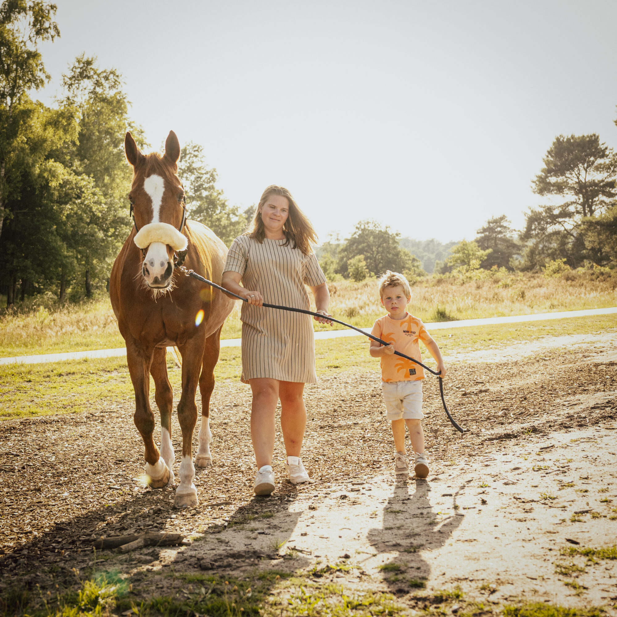 Wouter van Middendorp fotografie, horse, paard (5)