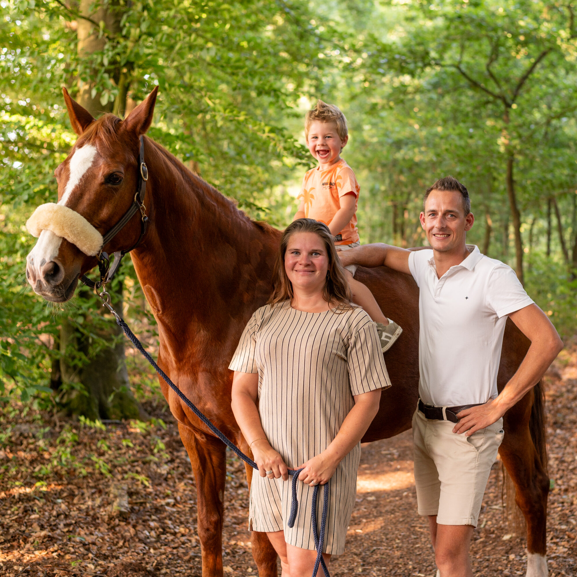 Wouter van Middendorp fotografie, horse, paard (7)