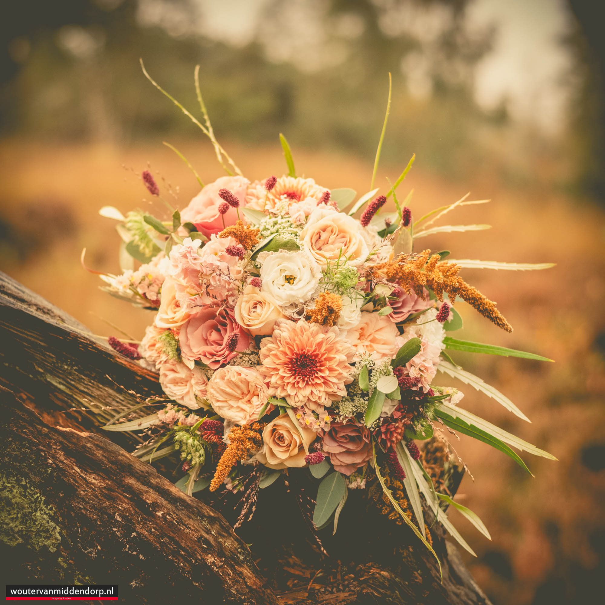 Warme, pure Veluwse bruidsreportage van Rik & Beate bij herberg ’t Vossegat in Meerveld, vastgelegd door Wouter van Middendorp Fotografie